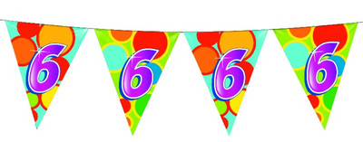 Haza Witbaard flag line 6 years, 10mtr.