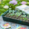 Nature nature kweekbak miniset 4x16 vakken