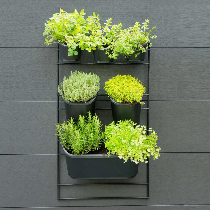 Nature Nature Wall Garden verticale
