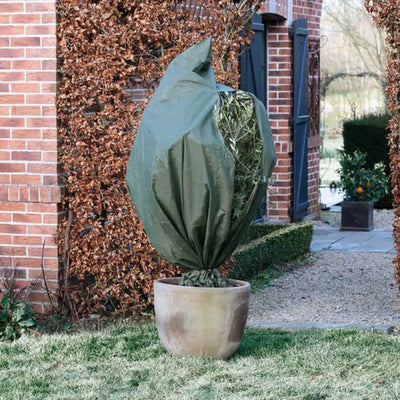 Nature Nature Winter Cover 70 g m² 1,5x2 m Verde