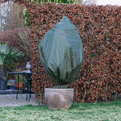Nature Nature Winter Cover 70 g m² 2,5x3 m verde