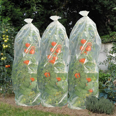 Nature Nature Foil Cover per la coltivazione del pomodoro 1500x50 cm