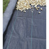 Nature worteldoek 2x10 m zwart