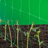 Nature Nature Klimnet per piante verdi 2x5 m 6030430