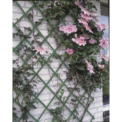 Nature Nature Plank Rack di arrampicata 100x200 cm PVC verde 6040704
