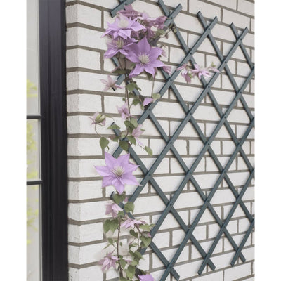 Nature tuinlatwerk 50x150 cm pvc antracietkleurig