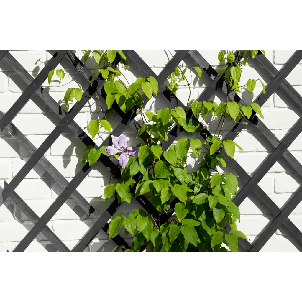 Nature tuinlatwerk 50x150 cm hout antracietkleurig