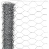 Nature gaas zeshoekig 1x10 m 40 mm gegalvaniseerd staal
