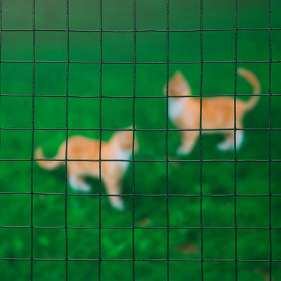 Nature Nature Gaas Square 25 mm 1x2,5 m M in acciaio rivestito in plastica verde