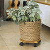 Nature plantentrolley rond ø30 cm bruin bpc