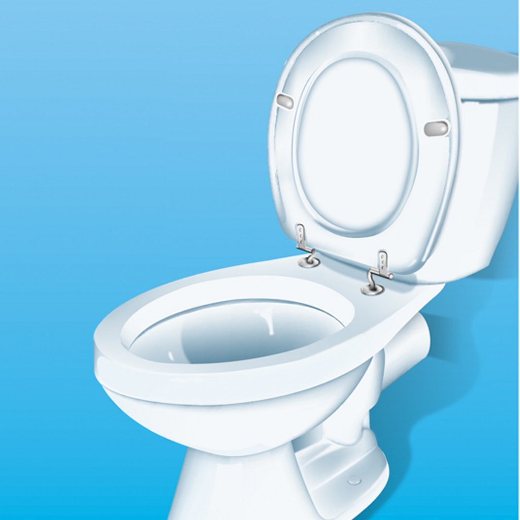 Hg Hg contra los cielos del baño + otros olores desagradables 0.4L