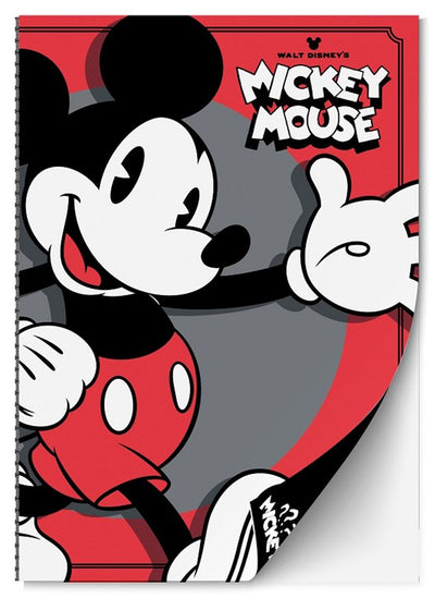 Set quaderno 2x5 Topolino