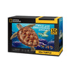 Diversión cúbica Cúbica Fun National Geographic 3d Puzzle Tortuga marina 31 piezas