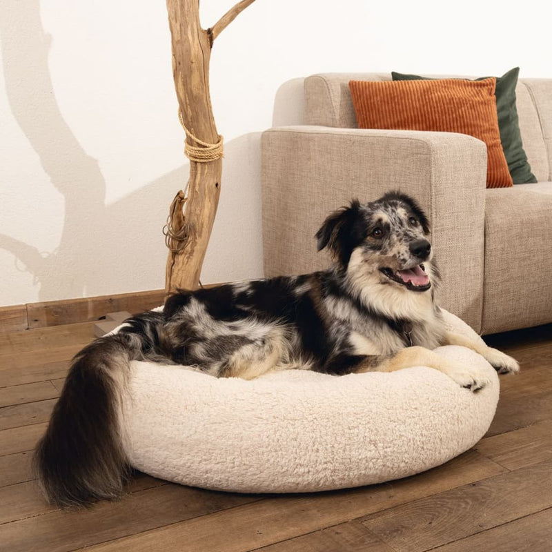 Beeztees beeztees cesto cane jaxx memory foam 50x20 cm beige