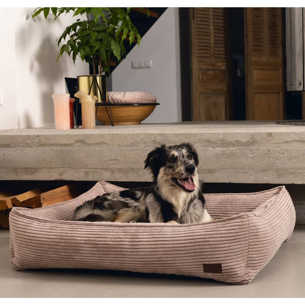 Progettato da Lotte progettato da Lotte Dog Ceste a coste 65x60x20 cm rosa