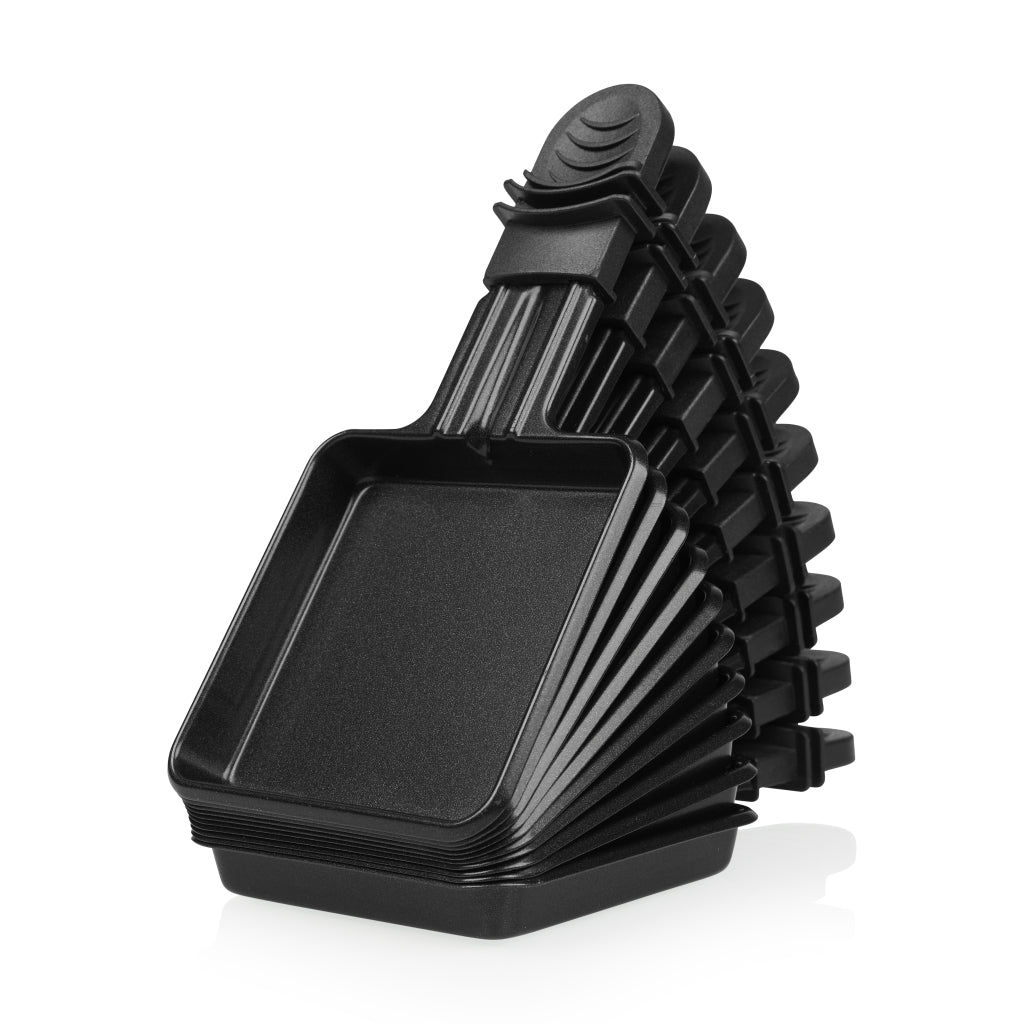 Princess Raclette 10