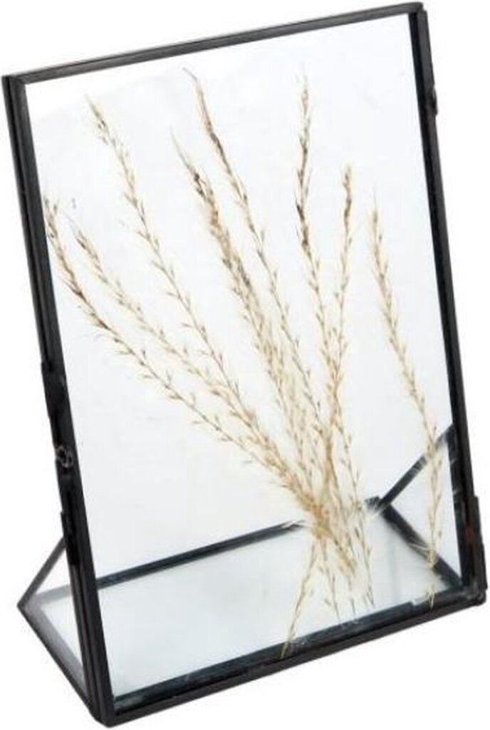 Regalos Amsterdam Regalos Amsterdam Frame Flowers Dry Flowers 13x18 CM Glass de acero Negro