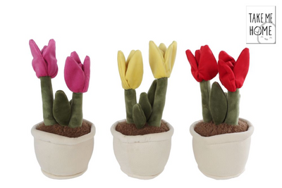 Take me home pluche plant tulp 27cm assorti