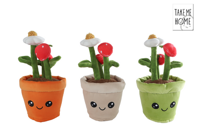 Lléfas de planta de abrazo de abrazo a casa - planta de fresa, 23 cm