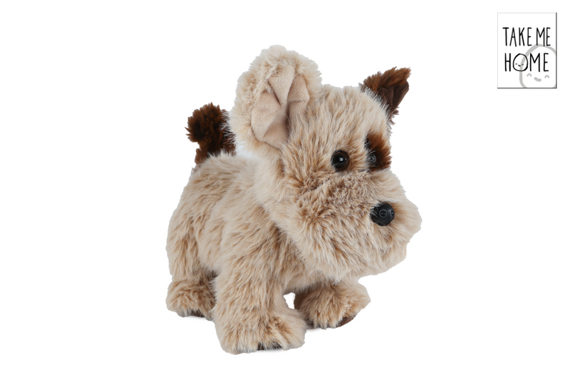 Perro de peluche Llévame a casa de pie - 22cm