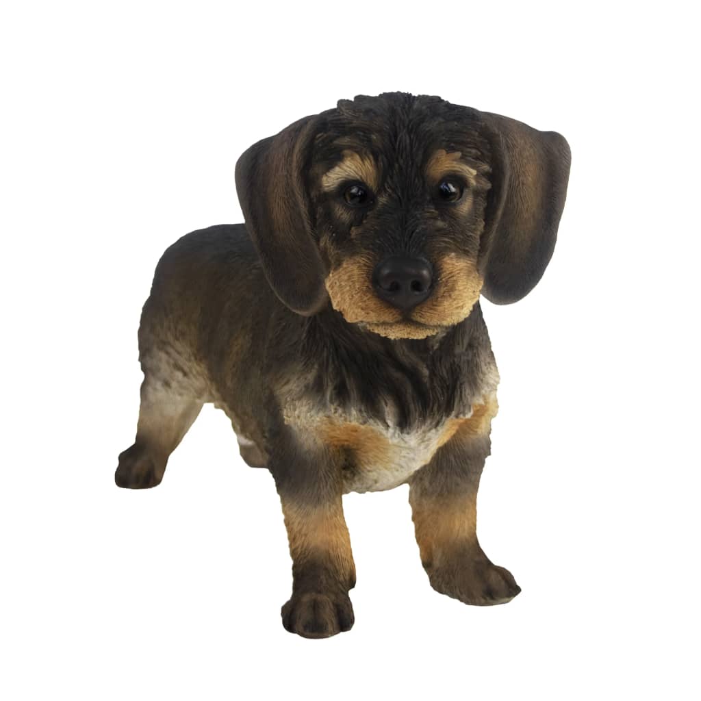 Design ESSCHERT ESSCHERT Diseño Rough -Haired Dachshund 50x15x27.8 cm