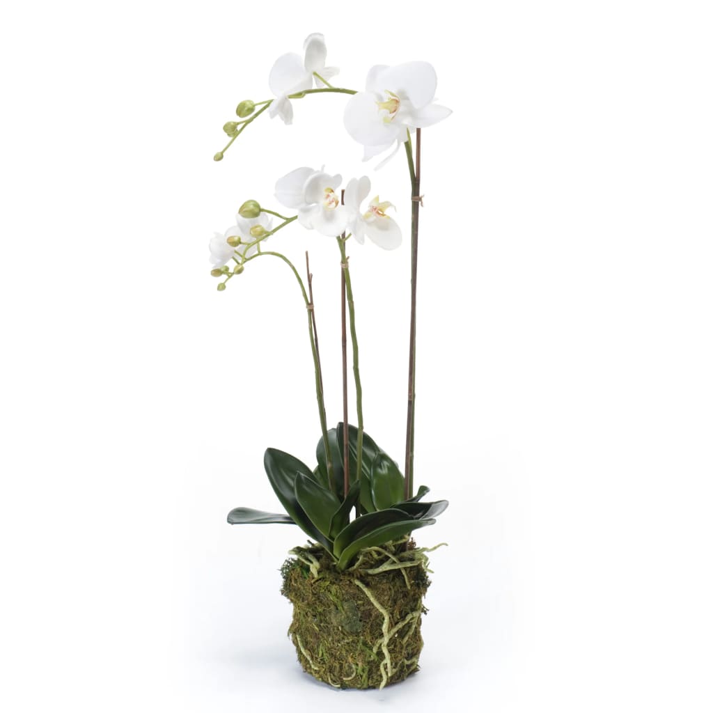 Esmeralda de arte esmeralda orquídea de mariposa 70 cm blanco