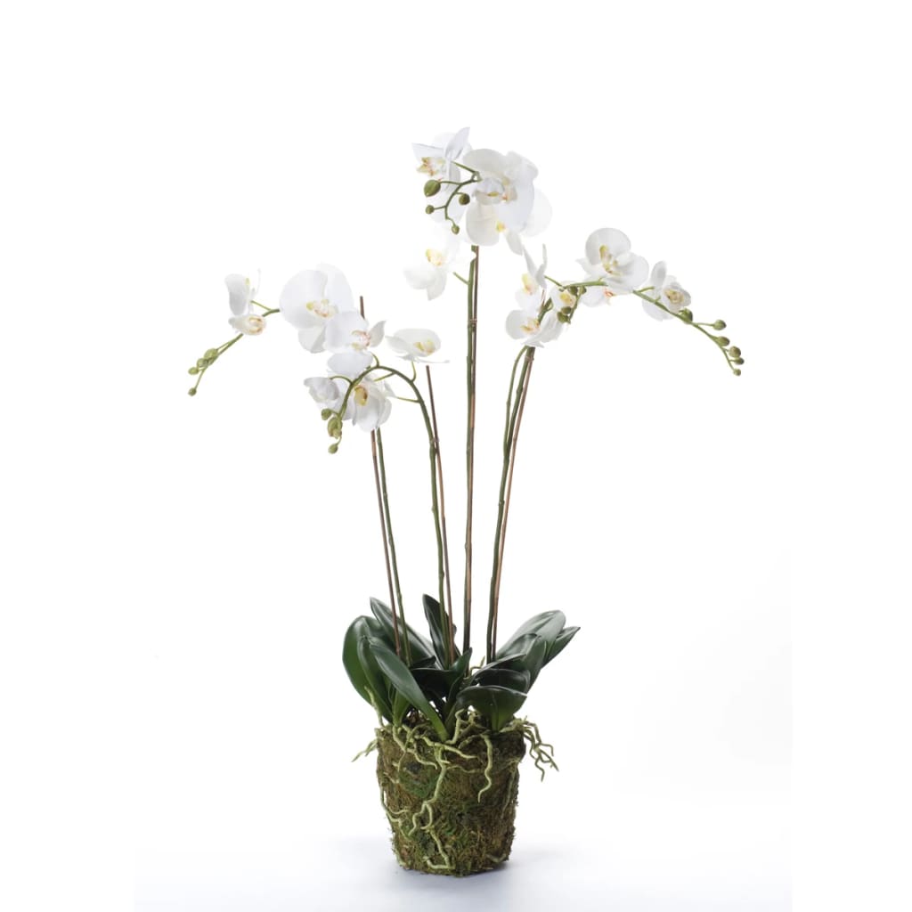 Orquídea de planta de arte de esmeralda con blancos de musgo 90 cm 20,355