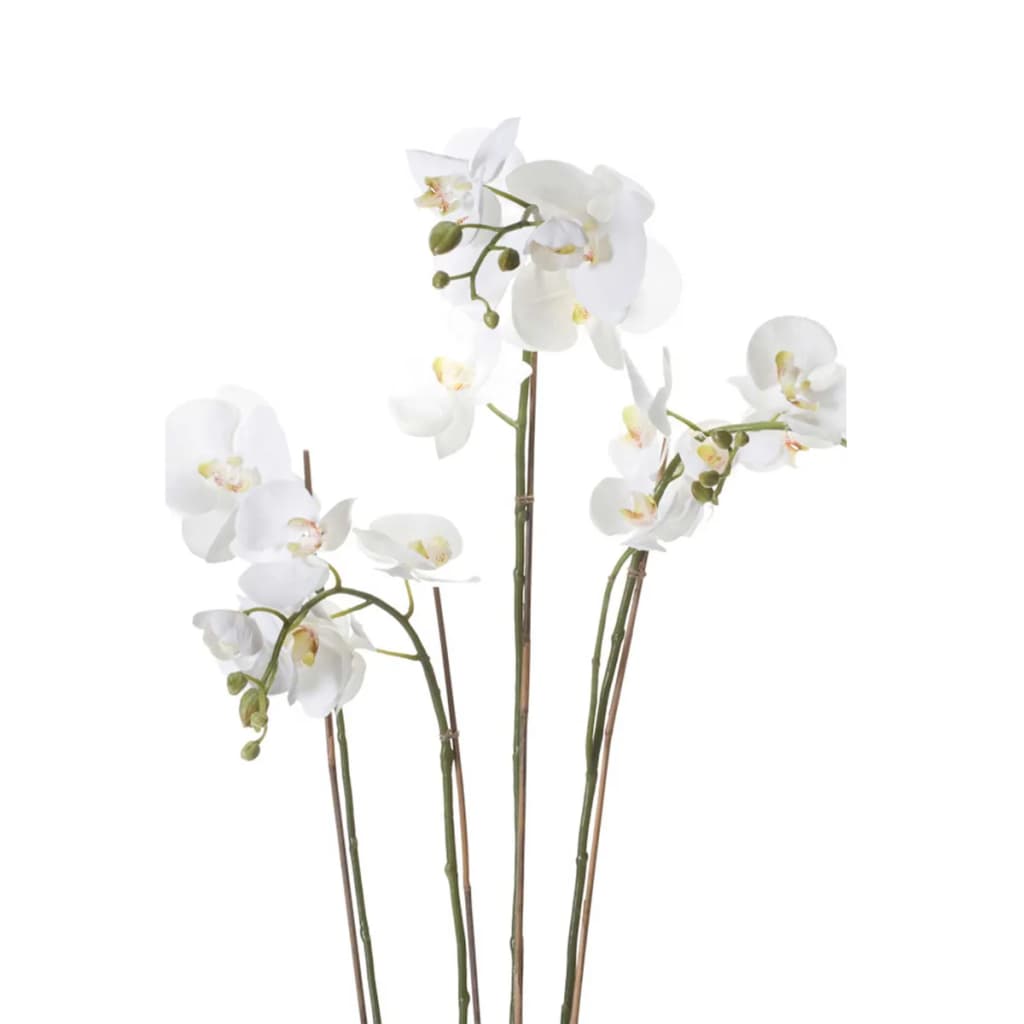 Orquídea de planta de arte de esmeralda con blancos de musgo 90 cm 20,355