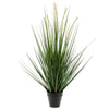 Planta de arte esmeralda de esmeralda alopecurus gras verde 120 cm 418166