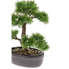 Smeraldo smeraldo art pianta ceder bonsai verde 32 cm 420001