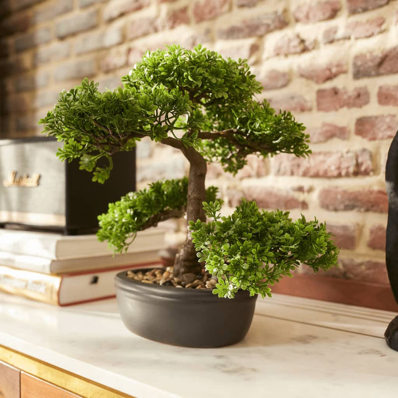 Smeraldo smeraldo art pianta mini bonsai ficus verde 32 cm 420002