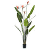 Planta de arte esmeralda esmeralda en strelitzia de maceta con 4 flores de 150 cm