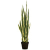 Emerald Emerald Art Plant in Plastic Pot Sanseveria 97 cm