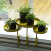 ESSCHERT Design Esschert Design Plant Blaad con abrazadera de oro