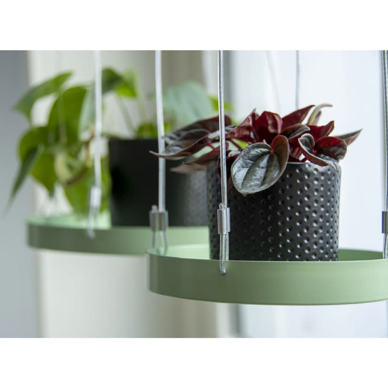 Diseño de esschert esschert Design Plant Blad Hanging Round S Green