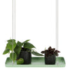 Design ESSCHERT ESSCHERT Diseño Planta Hanging Rectangular s verde