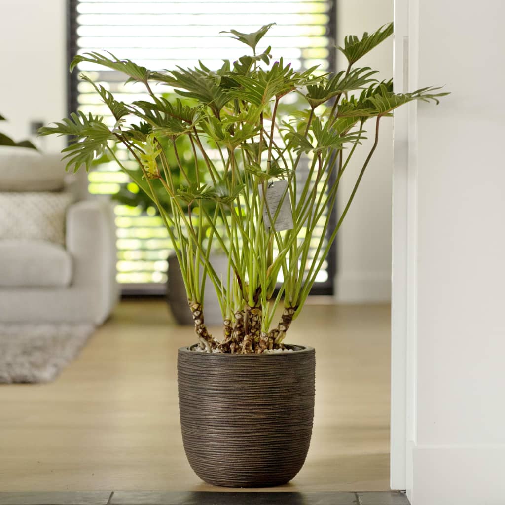 Capi Capi Planter Nature RIB 43x41 CM Brown oscuro