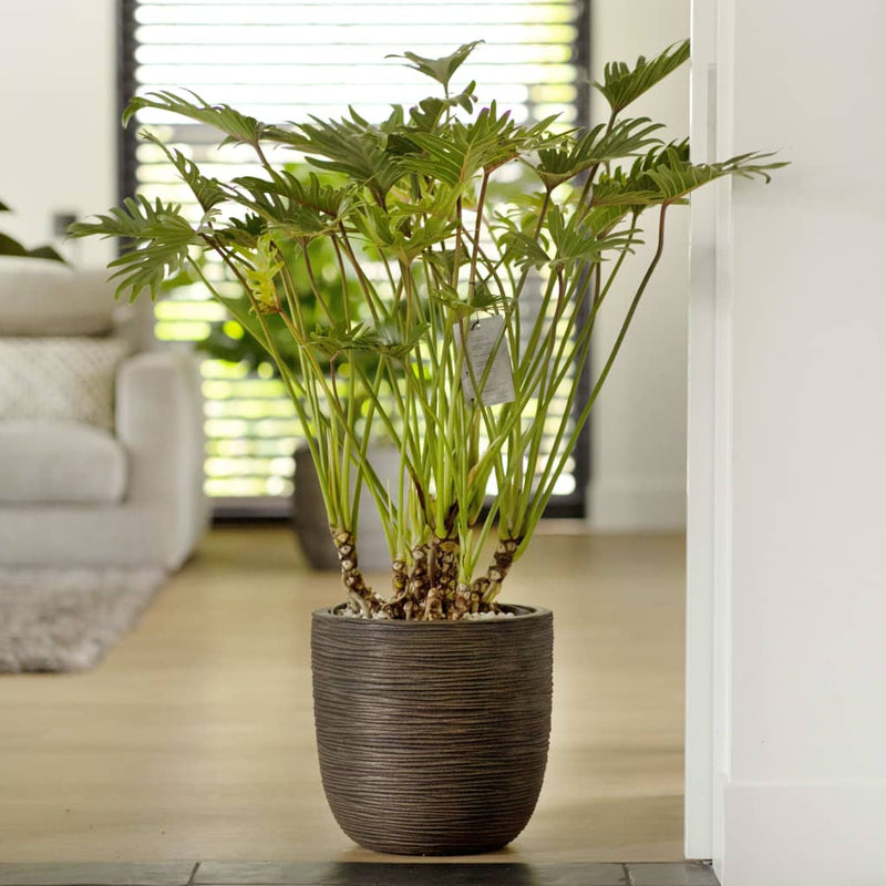 Capi Capi Planter Nature RIB 43x41 CM Brown oscuro