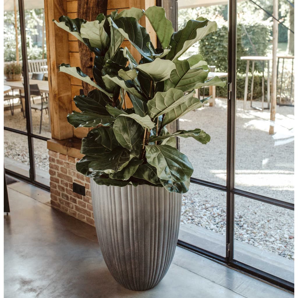 Capi Capi Flowerpot Tubo urbano Capa elegante 55x73 cm de gris oscuro