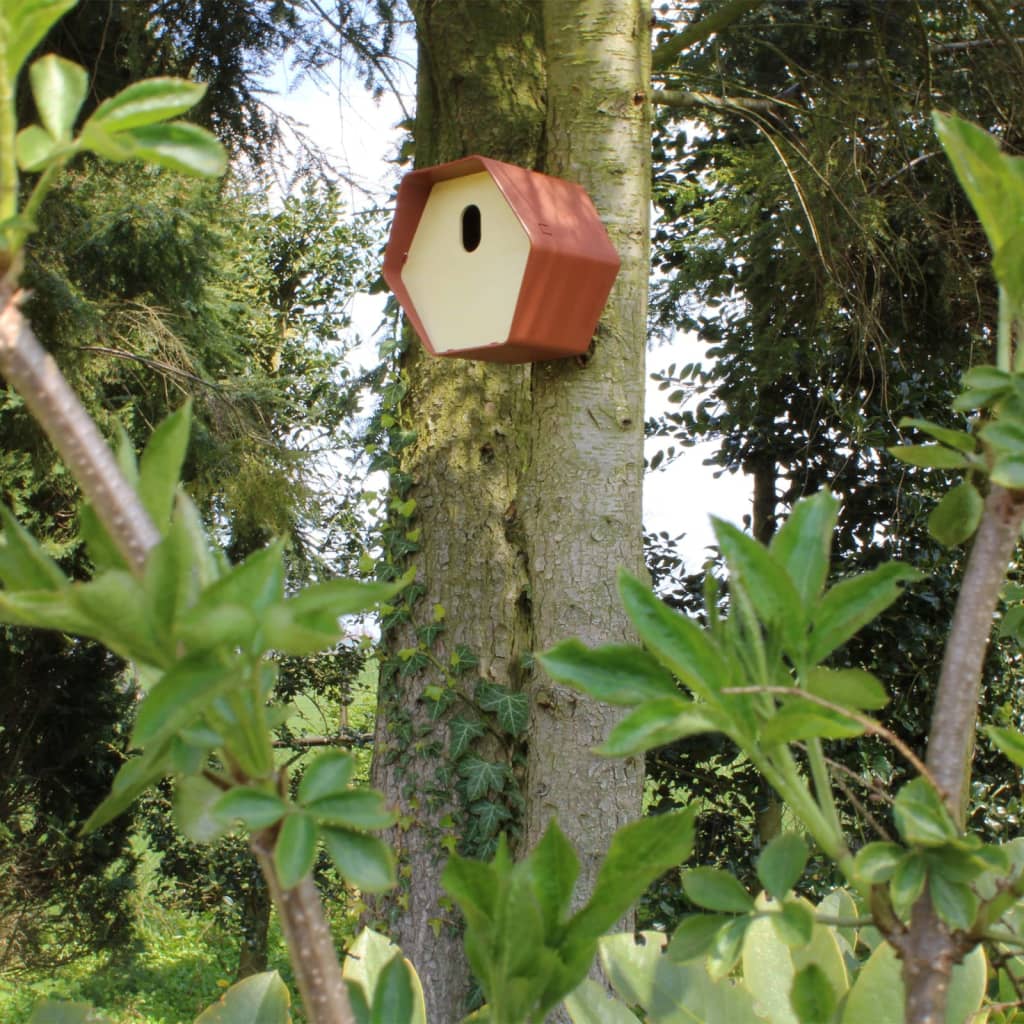 Capi Capi Vogelhuisje Hive 2 19x23x20 cm marrone