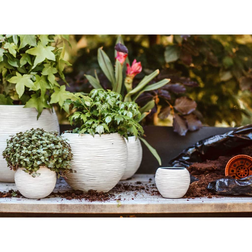 Capi Capi a 3 pezzi Flower Set Set Nature Rivoni avorio