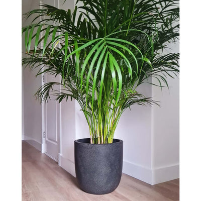 Capi Capi Plantador Lavado Smooth 43x41 cm de gris