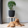 Capi Capi Planter Groove 35x34 cm negro