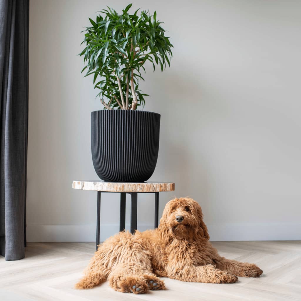 Capi Capi Planter Groove 35x34 cm negro