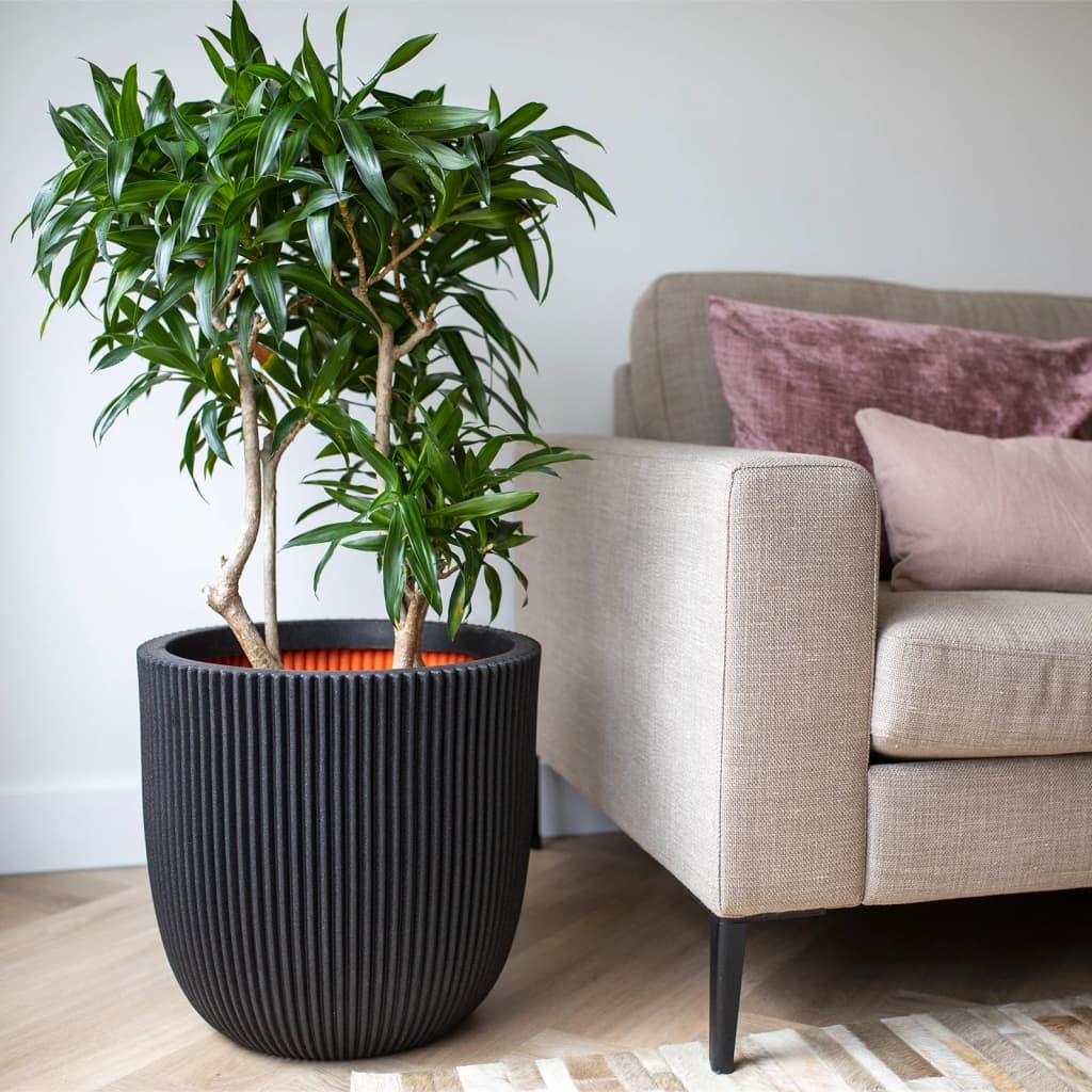 Capi Capi Planter Groove 35x34 cm negro