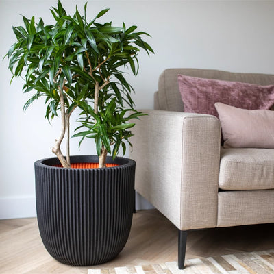 Capi Capi Planter Groove 35x34 cm negro