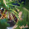 Capi Capi Flowerpot Groove Elegant 34x46 cm Nero