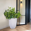 Capi Capi Flowerpot Groove Elegante 34x46 CM Color de marfil