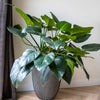 Capi Capi Flowerpot Groove elegante 34x46 cm antracita