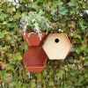 CAPI CAPI VOGELHUISJE HIVE 1 Agujero redondo 19x23x20 cm Brown